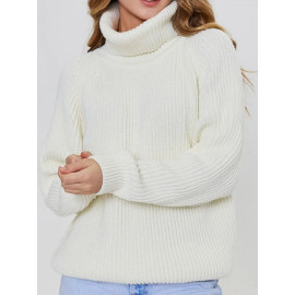 Women's Turtleneck Long Sleeve Winter Sweaters