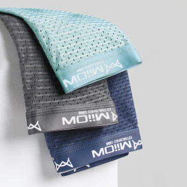 MiiOW 3Pcs Sexy Mesh Men Underwear Boxers