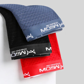MiiOW 3Pcs Sexy Mesh Men Underwear Boxers