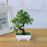 Garden Arrangement Ornaments Plastic Plants Bonsai Small Tree Pot Fake Plant Potted Flower Home Room Table Decoration - AliExpress 15