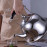 Colorful Style ABS Handle Induction Whistle Kettle