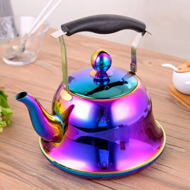 Colorful Style ABS Handle Induction Whistle Kettle