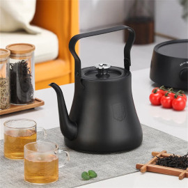 Stainless Steel Filter Fit Induction Kettle 