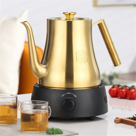 Stainless Steel Filter Fit Induction Kettle 