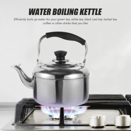 Stainless Steel Whistling Kettle 
