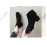 Ankle Boots For Women Square Toe Fashion Shoes